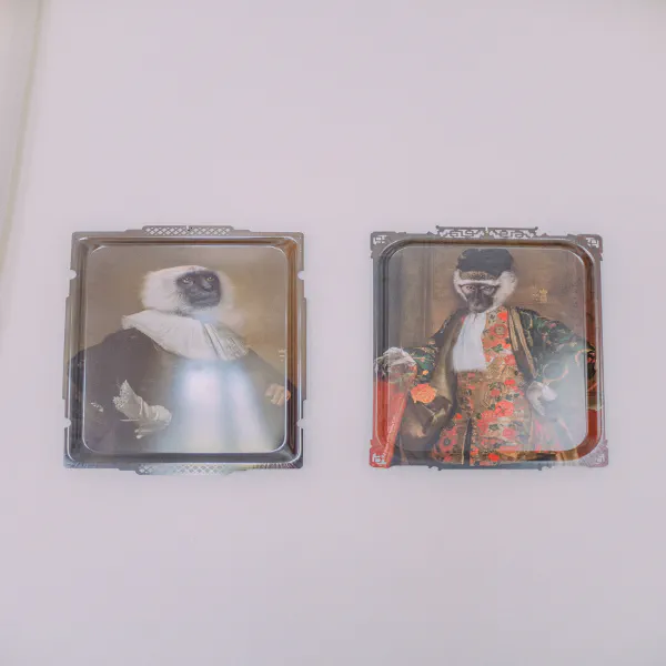 Portraits pop art de singes en costume sur les murs du Château de Laubardemont